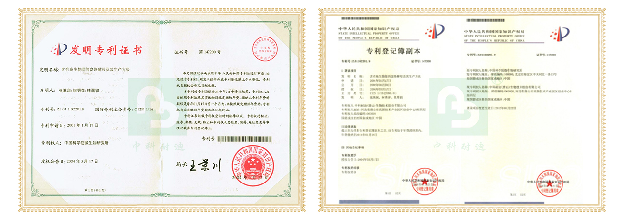 專利技術(shù)_03.jpg